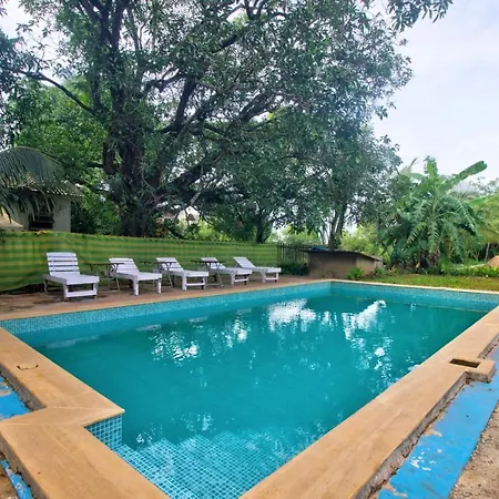 Luxury Villa With Swimming Pool Near Calangute & Baga